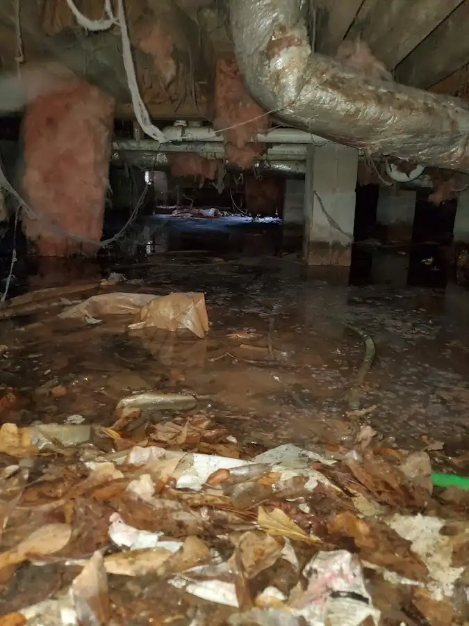 Crawl space flood assessment for Leak Detection & Repair in Laurens